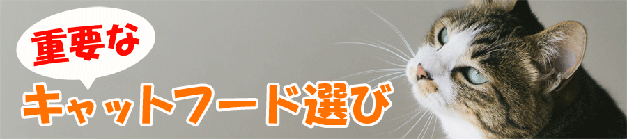 重要なキャットフード選び